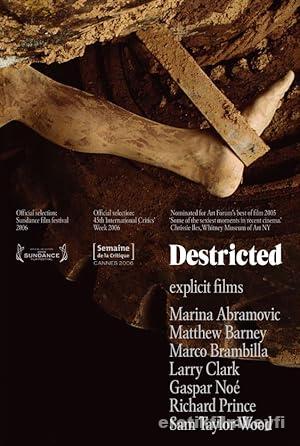 Destricted 2006