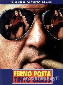 Posta Kutusu 1995 izle Posta Kutusu 1995