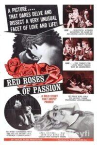 Red Roses of Passion Eski Erotik Film izle Red Roses of Passion Eski Erotik Film