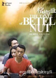 Çinli Erotik Filmi Karmaşık İlişki izle Çinli Erotik Filmi Karmaşık İlişki